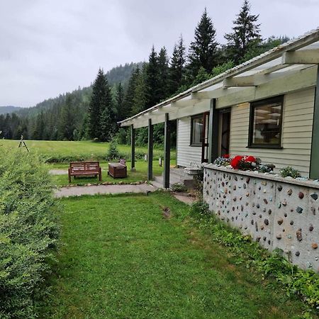 River Run Ranch - Telemark Drangedal Exterior foto