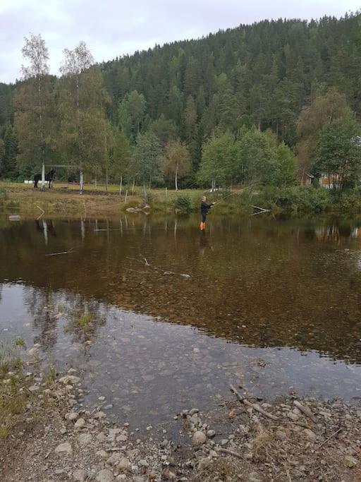 River Run Ranch - Telemark Drangedal Exterior foto
